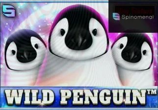 Wild Penguin
